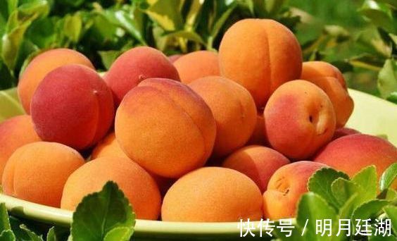 龙须菜|女性爱美推荐常吃以下食物，刮油消脂，美白护肤，营养又瘦身