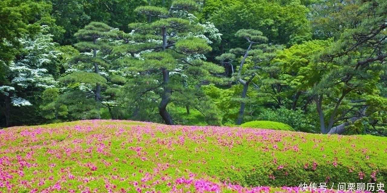 一点通|唐代李商隐的一首诗，被现代人借用成金句，你喜欢古今哪个版本？