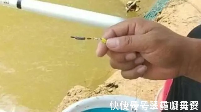 一钩|不用打窝也能狂拉不断,老钓友用这方法,一天钓几十斤!