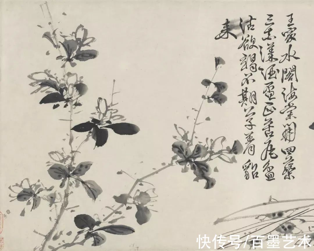 明朝@青藤白阳：明朝花鸟两大高峰