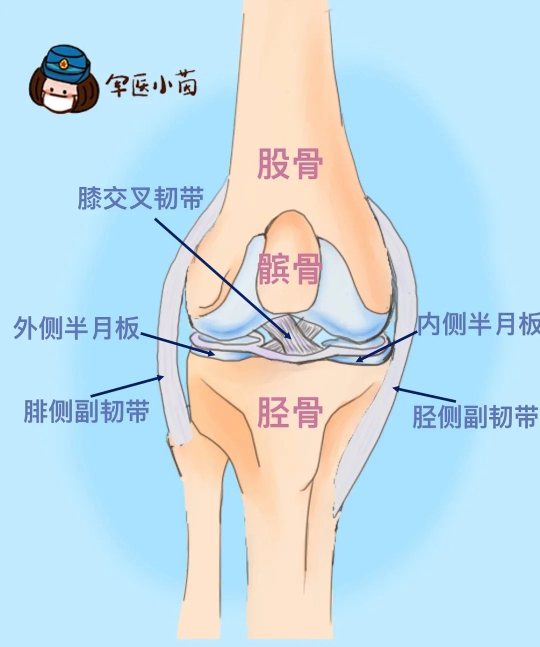 活动度|军医小茵｜今日立冬