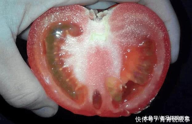 打了“催红素”的西红柿,这2个地方“不一样”,不要买错了!
