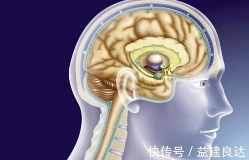 癌症|著名肿瘤专家胡群峰教授:得了癌症不治疗会出现哪些变化?