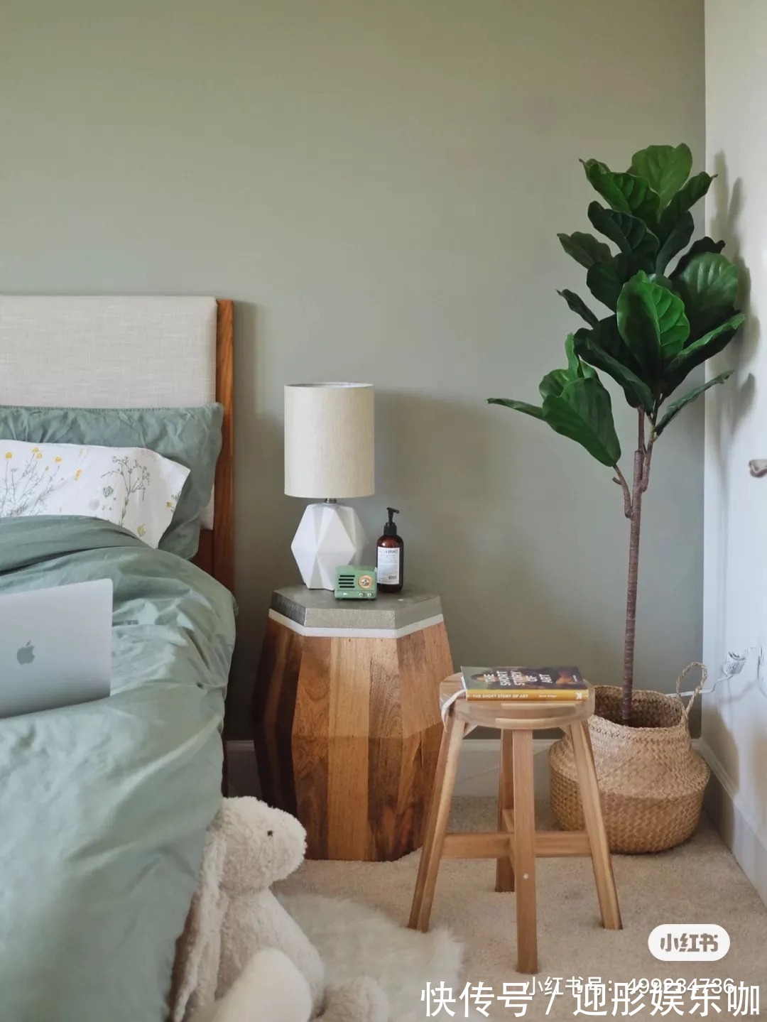 有植物的房子才是理想家!2021最受欢迎“网红绿植”推荐