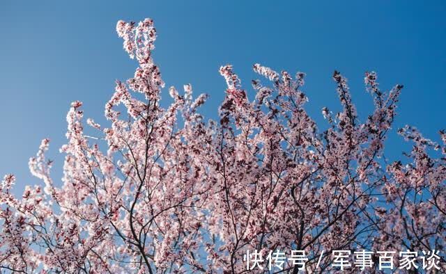 痴情|7天内,天赐良缘,唯有痴情,挽回旧爱,倾其所有,喜极相拥