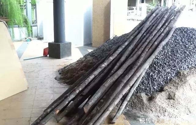 鱼缸和池还可以这样结合?只能说很有想法,有钱我也搞一个!