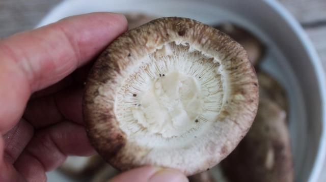 清水洗香菇,和没洗一样,教您一招,脏东西和小虫子自动溜走