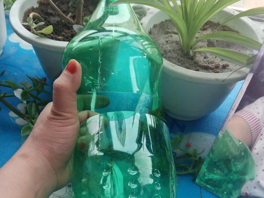 钻孔|软趴趴的塑料瓶,养花有4大经典用法,早晓得早受益