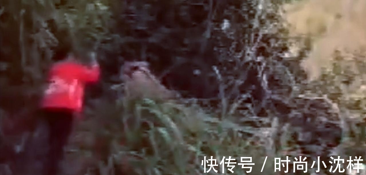 男子钓鱼上瘾，连续垂钓一天一夜后被人“暴打”，网友：不敢拉架