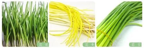 大蒜|百草益寿：食物中的“阿司匹林”，杀菌抗炎，才几块钱一斤