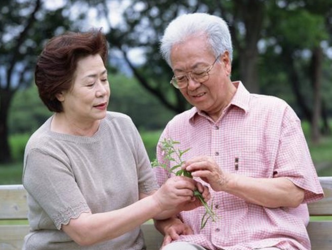 枸杞|70岁老人的“回春”小妙招，每天吃一点，晚上妻子乐开怀