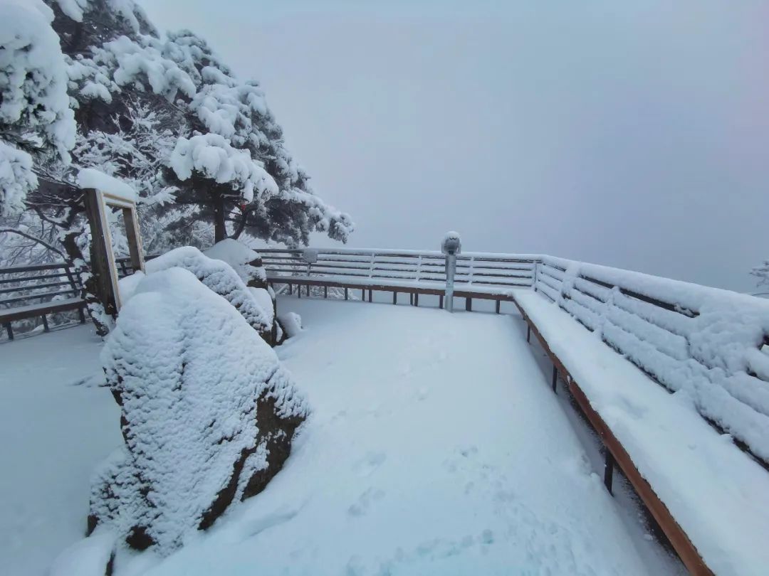 雪景|老界岭又下雪啦！这才是朋友圈最“冻人”的雪景！