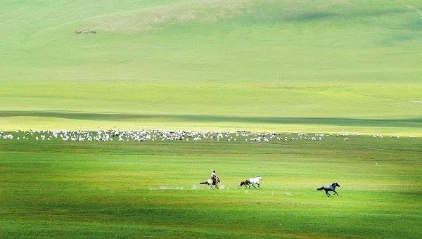 黑色|追击“黑色杀手”