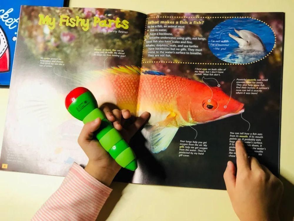 睡眠|怎么让孩子早睡?我用6年才总结出这3个方法,不看亏大了