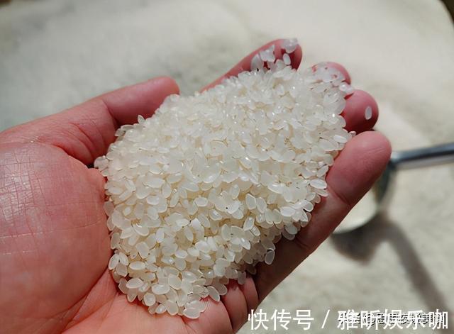 大米|都是大米，长粒大米好还是圆粒大米好？老农教你一招，以后别乱买