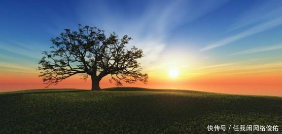 东莞|七绝《晨光沐浴》平水韵