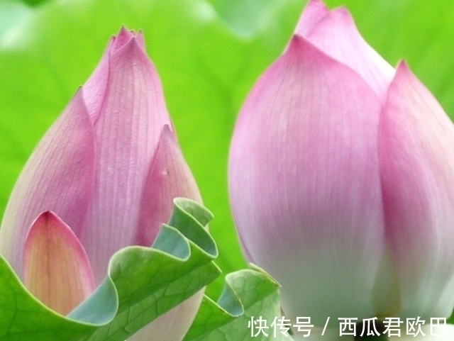 自尊|3天后,无私奉献,追寻爱情,红娘引线,拾起自尊,越过越风光