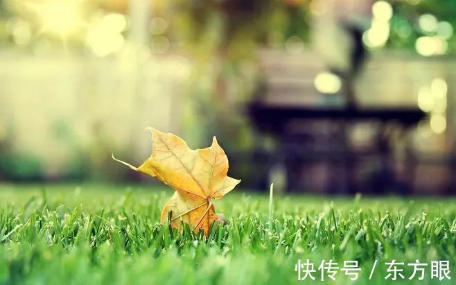 秋分养生：吃好三样，喝好三样，做好三样