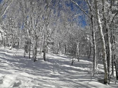 冰雪|冰雪山村有“土匪”