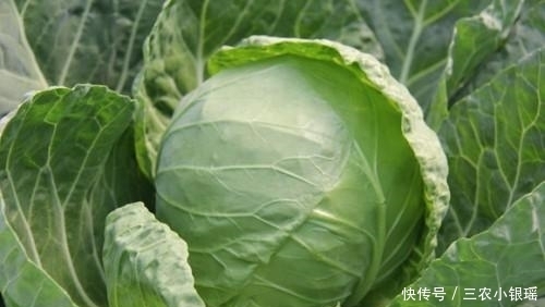 胃病的“克星”终于被找到了, 每天吃一点, 胃痛胃胀悄悄绕路走!