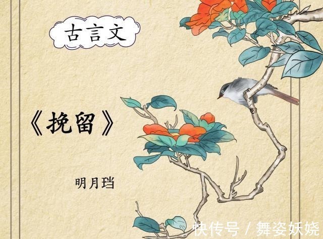 江山不悔#高文笔古言,强推明月珰笔下小说,腹黑胜过容止,宠妻不输容景