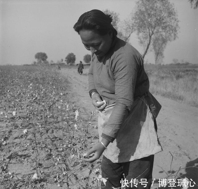 拍摄|莫里逊拍摄的民国老照片