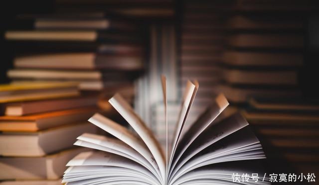 即将|即将迈入第23个年头的网络文学,目前有没有诞生真正的传世名著