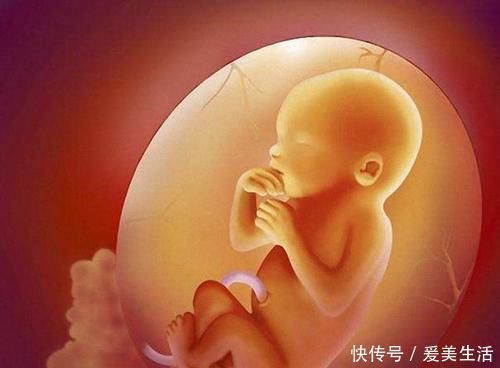 精子|宝宝的性别是什么时候决定的,是受精时还是受精后呢