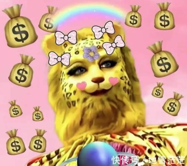 最近的朋友圈,跑进来一只豹子