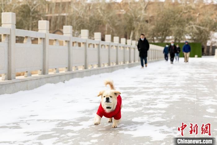 王嘉奇|雪落敦煌莫高窟