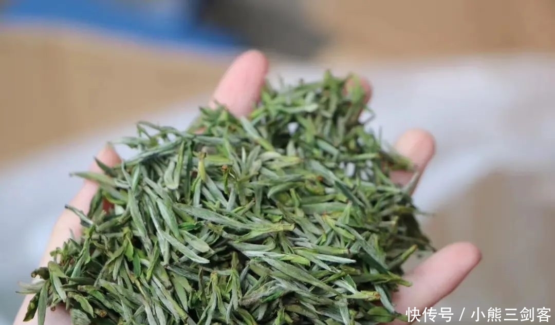 春茶季喝什么?这9款正当季的绿茶值得一喝