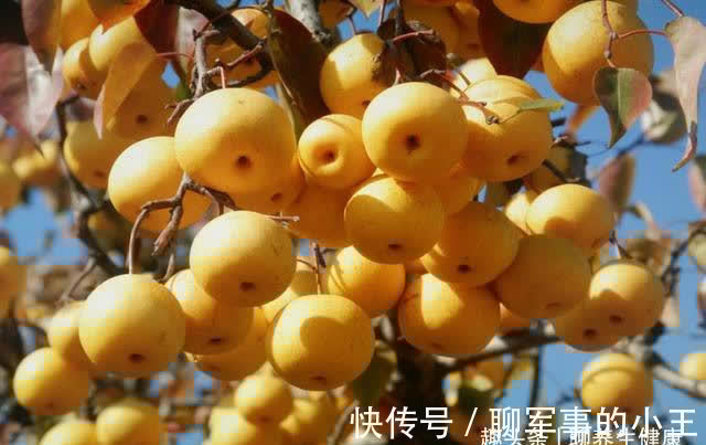 补虚季|一年中最重要的补虚季,秋天吃这5种食物,让虚弱的脏腑强健起来