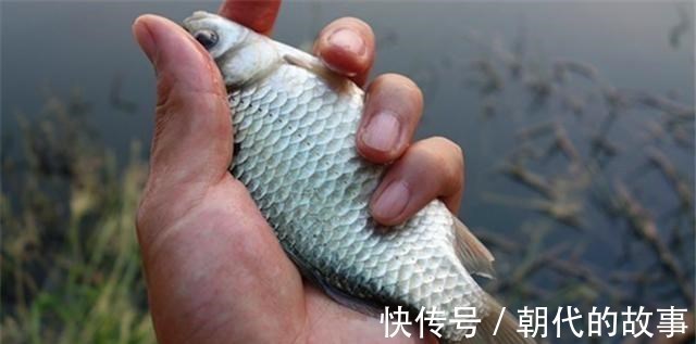 大河冬季鱼情差,台钓你钓深还是钓浅可以当作参考