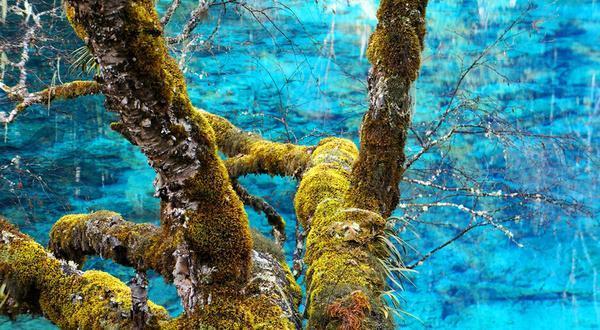 重新开放的九寨沟,还会是归来不看水,色即是秋,秋即是色吗