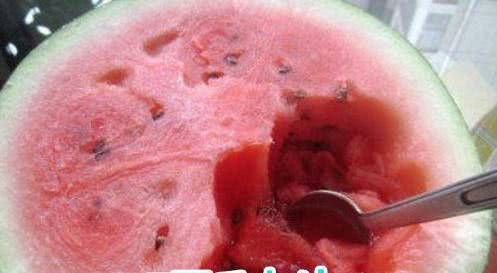 美术|不同专业吃西瓜,理科生普通,文科生讲究,美术生