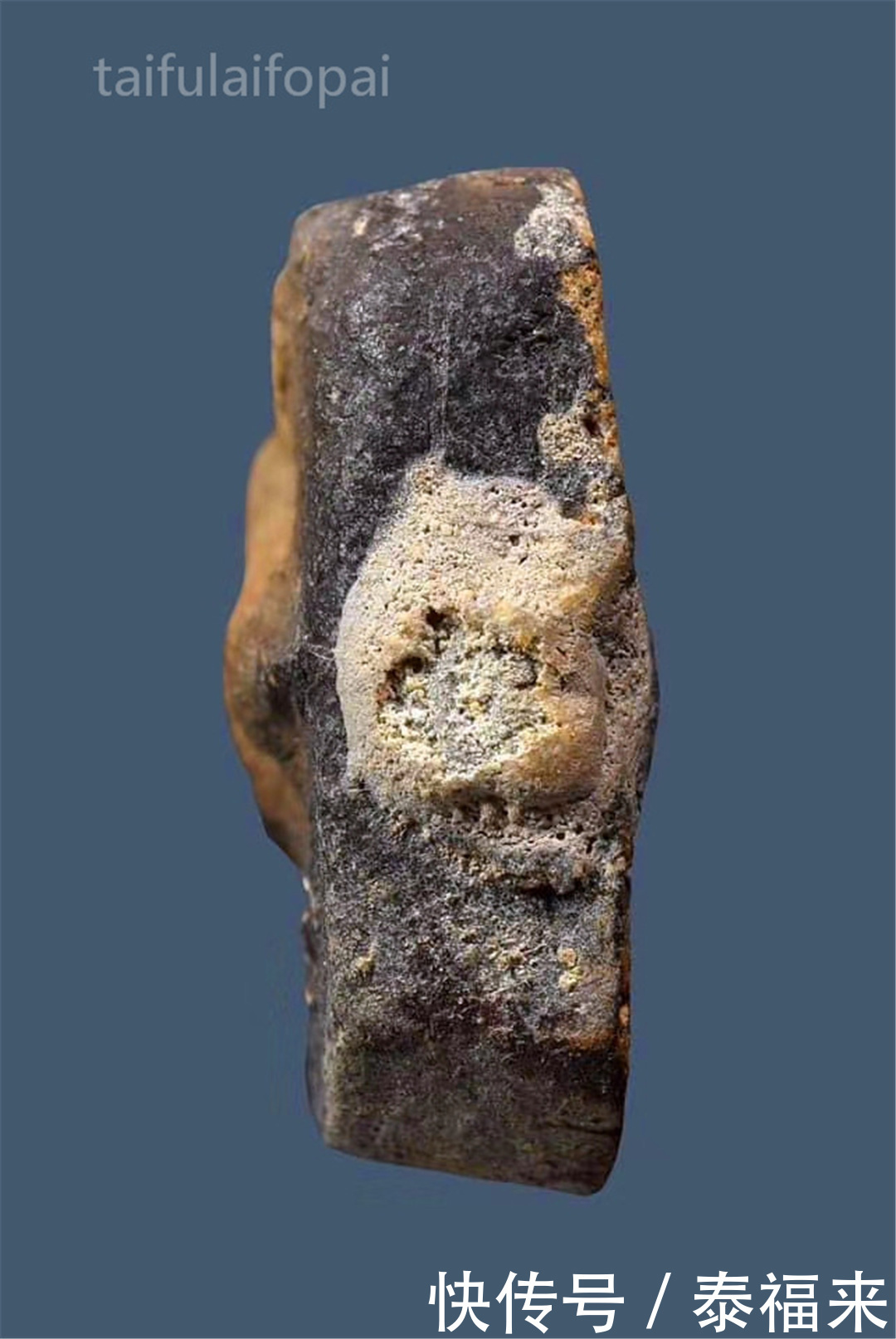 『佛牌知识科普』“无声的老虎”龙婆鲁士灵丹WatThaSung神兽崇迪