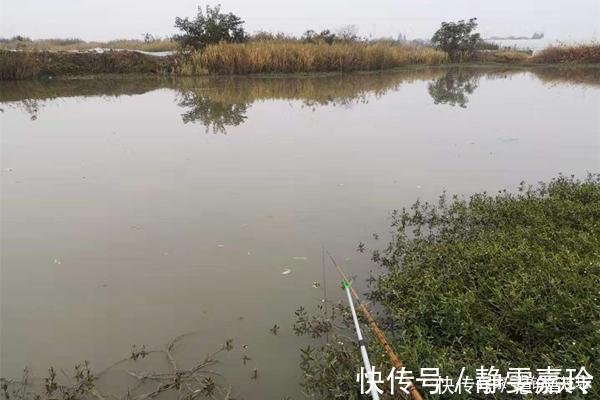 冬钓大鲫鱼,钓深还是钓浅天冷要找这种地方,鲫鱼在这里扎堆
