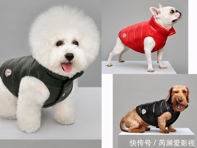 一万多的羽绒服,凭什么Moncler盟可睐要比波司登贵那么多
