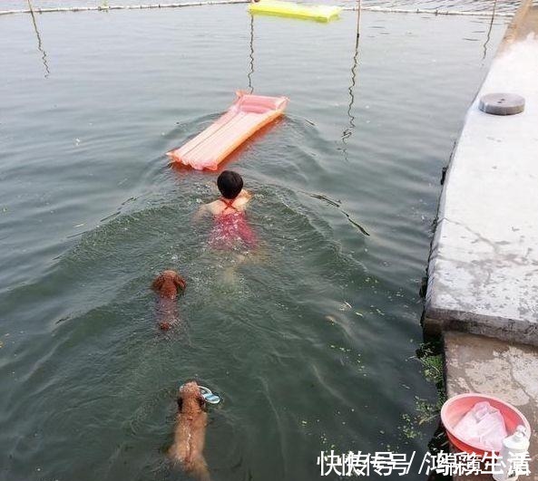 罗马柱|晒我的农村别墅,有花园有“泳池”,朋友都说堪比“世外桃源”!