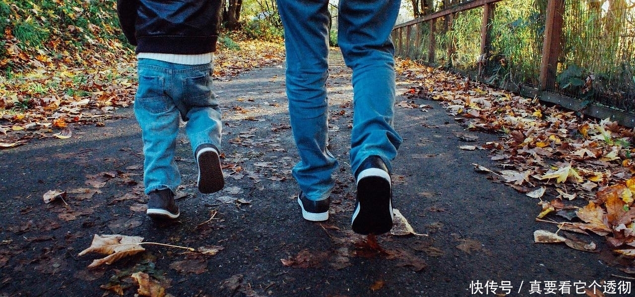 爱孩子,这是连母鸡也会的事情, 而人和鸡是不同的!