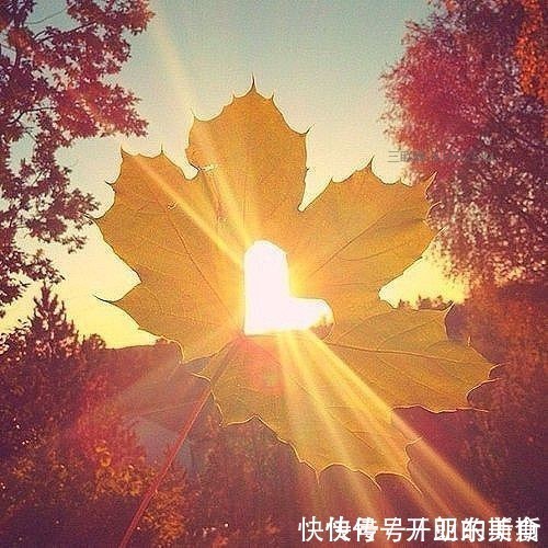 陋室铭$刘禹锡很励志的一首诗，充满正能量，毅力和耐心是成功的关键