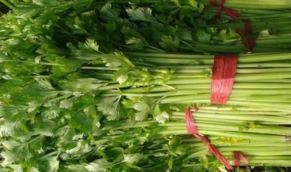 羊肉|阳气不足百病生不妨多吃4种食物,补充阳气,利于身体的健康