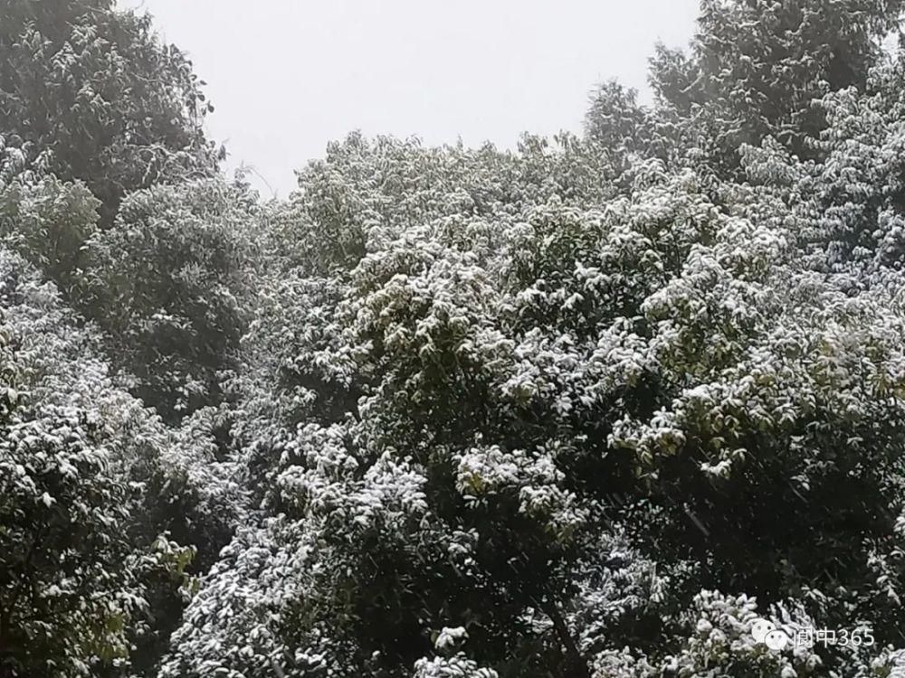 妙高镇金城山雪景图