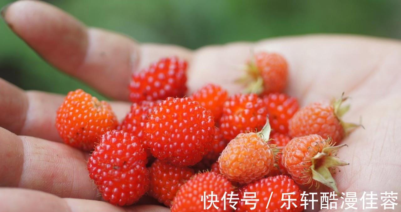 美味|小暑将至若条件允许,这6种水果记得要多吃,营养美味还不贵