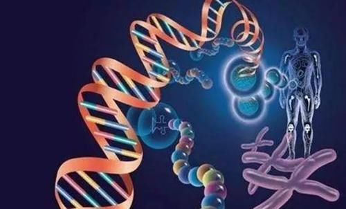 血脂异常|血脂高的人要远离豆腐？若想稳定血脂，3种“素食”或需打入冷宫