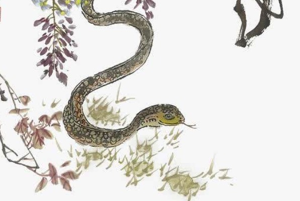 属兔|跟生肖兔天生一对,幸福到白头的生肖,老天爷都不忍心拆不散!