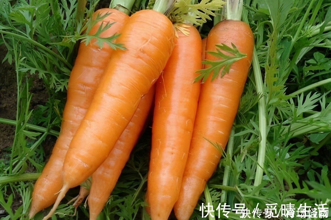 胡萝卜素|人到中年想长寿，不妨多吃3种食物，排毒养颜、滋润肌肤