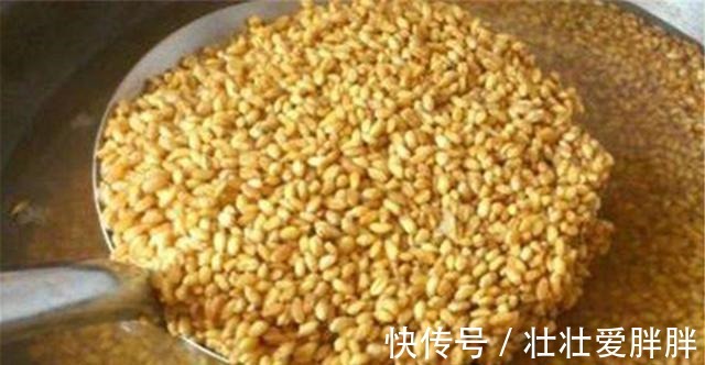 白露|入冬之前野钓大鲫鱼，我从来不用蚯蚓和红虫，这些素饵才是首选！
