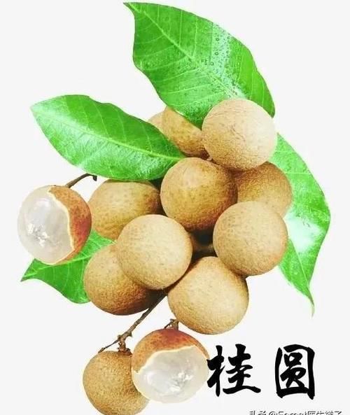 有人说气血不足吃桂圆最好，这是真的吗？应该