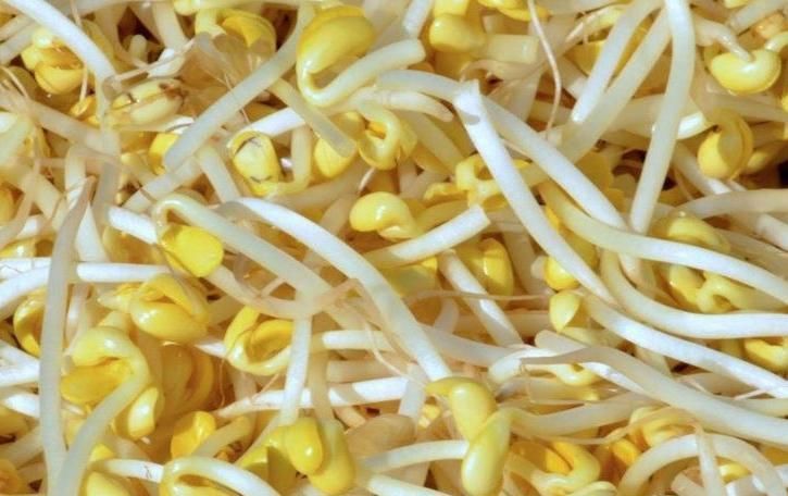 豆芽|豆芽和此物一起煮,每天吃一盘,头发黑了,炎症没了,男女可试试